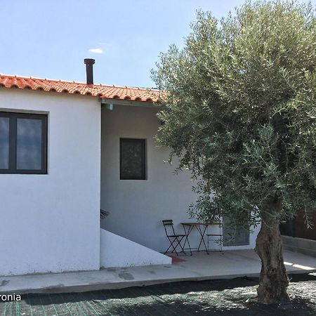 Willa Casas Da Baronia Casa Catarina Vila Nova da Baronia Zewnętrze zdjęcie